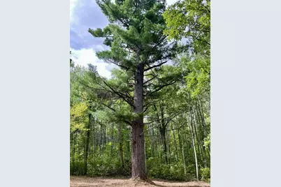 Lot 17 New Melahn Drive, Lake George Township, MN 56458 - Photo 4