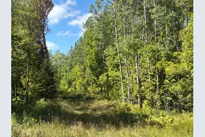 57658 Loon Avenue, McGregor, MN 55760 - Photo 14