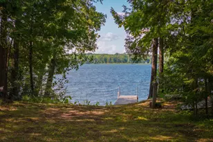 29453 Timberwolf Rd NE, Pennington, MN 56663 - Photo 4