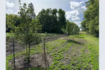 23307 210th Avenue N, Ulen, MN 56585 - Photo 28