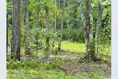 56305 S Dora Lake Road, Northome, MN 56661 - Photo 4