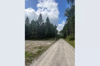 56305 S Dora Lake Road, Northome, MN 56661 - Photo 8