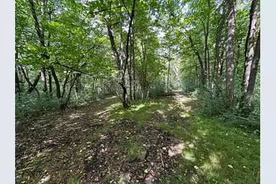 Tbd 230th Avenue, Fergus Falls, MN 56537 - Photo 16