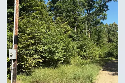 4Xyz Pinewood Court, Browerville, MN 56438 - Photo 2