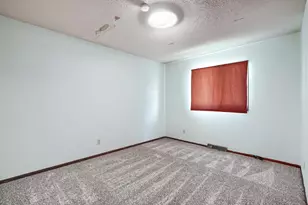 311 Dakota St W, Vermillion, MN 55085 - Photo 18
