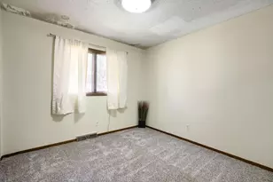 311 Dakota St W, Vermillion, MN 55085 - Photo 20