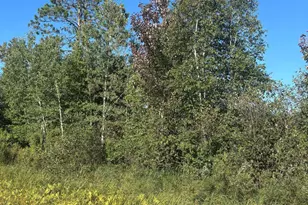 8360 S Old 11 Rd, Solon Springs, WI 54873 - Photo 1