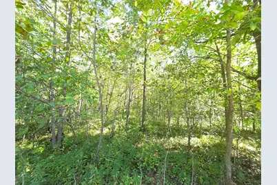 2550 270th Avenue, Brook Park, MN 55007 - Photo 20