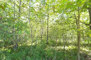 2550 270th Ave, Brook Park, MN 55007 - Photo 22