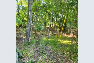 Tbd 241st Lane, Bethel, MN 55005 - Photo 2