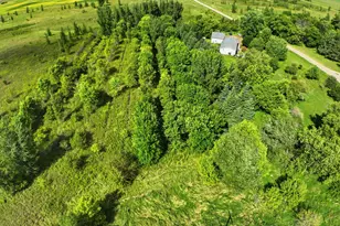 990 180th Ave SE, Kerkhoven, MN 56252 - Photo 44