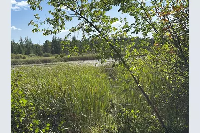 Tbd County Road 152, Park Rapids, MN 56470 - Photo 26