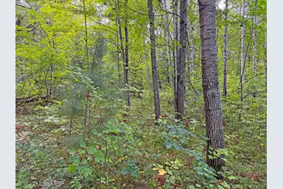 24771 Swede Road, Webster, WI 54893 - Photo 46