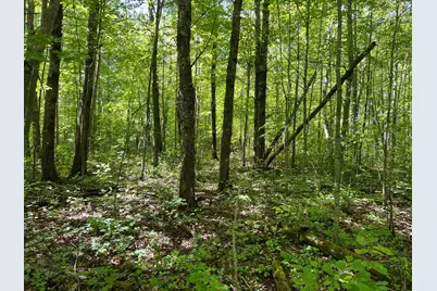 000 Maple Tree Lane, Pine City, MN 55063 - Photo 8