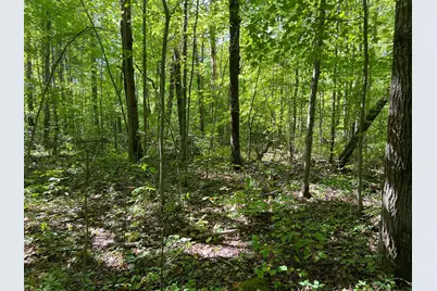000 Maple Tree Lane, Pine City, MN 55063 - Photo 10