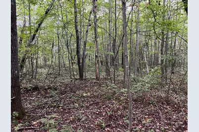 000 Maple Tree Lane, Pine City, MN 55063 - Photo 28