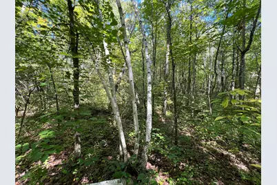 000 Maple Tree Lane, Pine City, MN 55063 - Photo 16