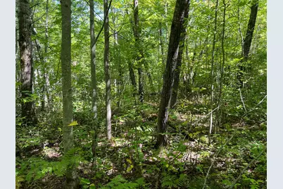 000 Maple Tree Lane, Pine City, MN 55063 - Photo 6