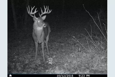 28185 Cr-21, Lanesboro, MN 55949 - Photo 64