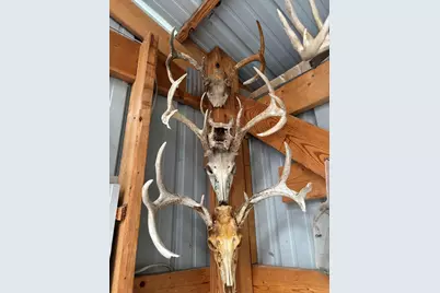 28185 Cr-21, Lanesboro, MN 55949 - Photo 96