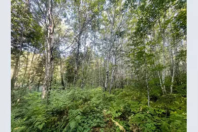 Tbd Lumberjack Road NW, Shevlin, MN 56676 - Photo 22