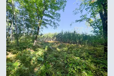 Tbd Lumberjack Road NW, Shevlin, MN 56676 - Photo 38