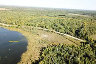 Tbd Lumberjack Road NW, Shevlin, MN 56676 - Photo 1