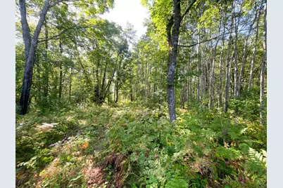 Tbd Lumberjack Road NW, Shevlin, MN 56676 - Photo 40