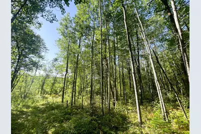 Tbd Lumberjack Road NW, Shevlin, MN 56676 - Photo 42