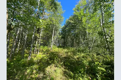 Tbd Lumberjack Road NW, Shevlin, MN 56676 - Photo 36