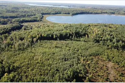 Tbd Lumberjack Road NW, Shevlin, MN 56676 - Photo 4