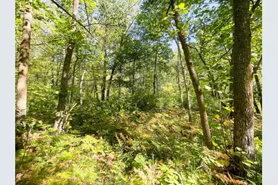 Tbd Lumberjack Road NW, Shevlin, MN 56676 - Photo 32