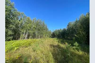 Tbd Lumberjack Road NW, Shevlin, MN 56676 - Photo 24