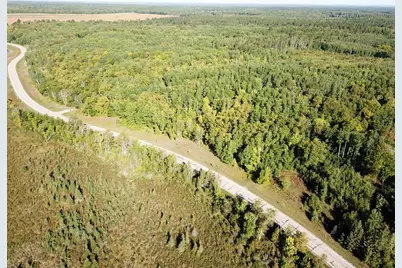 Tbd Lumberjack Road NW, Shevlin, MN 56676 - Photo 14