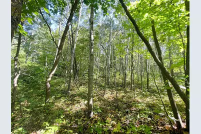 Tbd Lumberjack Road NW, Shevlin, MN 56676 - Photo 30