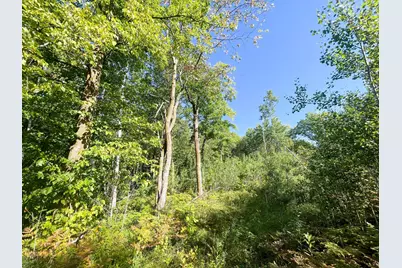 Tbd Lumberjack Road NW, Shevlin, MN 56676 - Photo 34