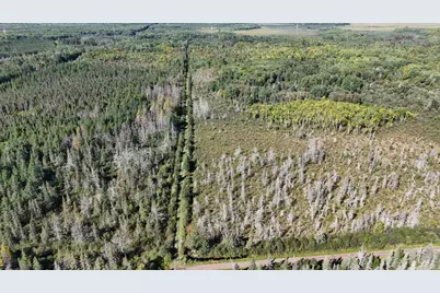 Tbd Salo Rd, Cromwell, MN 55798 - Photo 12