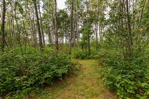 22233 Wilderness Dr, Verndale, MN 56481 - Photo 18