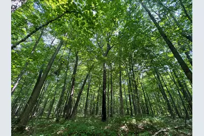 Lot 4 Smith Road, Couderay, WI 54828 - Photo 24