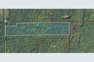 Lot 4 Smith Road, Couderay, WI 54828 - Photo 10