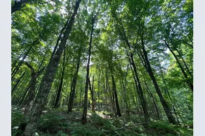 Lot 4 Smith Road, Couderay, WI 54828 - Photo 22