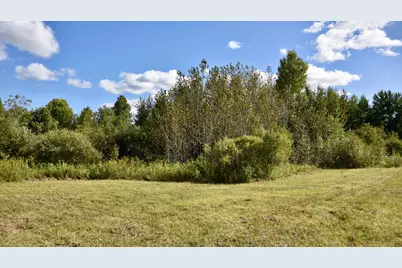Tbd 480th/Cty Rd 3 Street, Palisade, MN 56469 - Photo 40