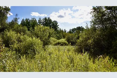 Tbd 480th/Cty Rd 3 Street, Palisade, MN 56469 - Photo 14