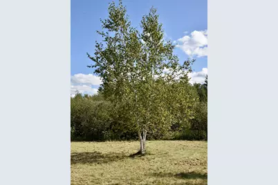 Tbd 480th/Cty Rd 3 Street, Palisade, MN 56469 - Photo 26