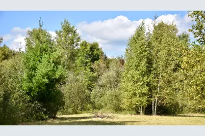 Tbd 480th/Cty Rd 3 Street, Palisade, MN 56469 - Photo 12