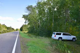Tbd 480th/Cty Rd 3 St, Palisade, MN 56469 - Photo 1
