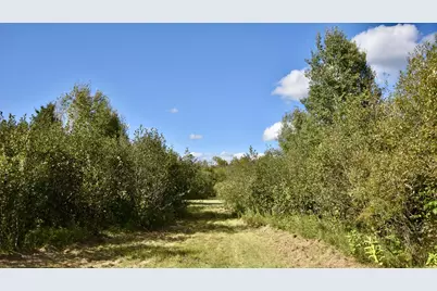 Tbd 480th/Cty Rd 3 Street, Palisade, MN 56469 - Photo 6