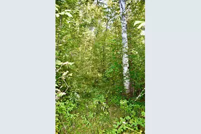 Tbd 480th/Cty Rd 3 Street, Palisade, MN 56469 - Photo 30
