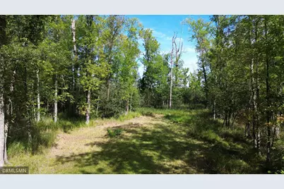 Tbd Sheshebe Road, McGregor, MN 55760 - Photo 2
