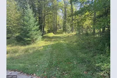 Tbd Sheshebe Road, McGregor, MN 55760 - Photo 12